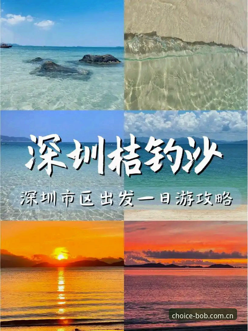 半岛体育官网教程 半岛体育官网教程:官方APP与网页版全面对比,哪个更适合你?