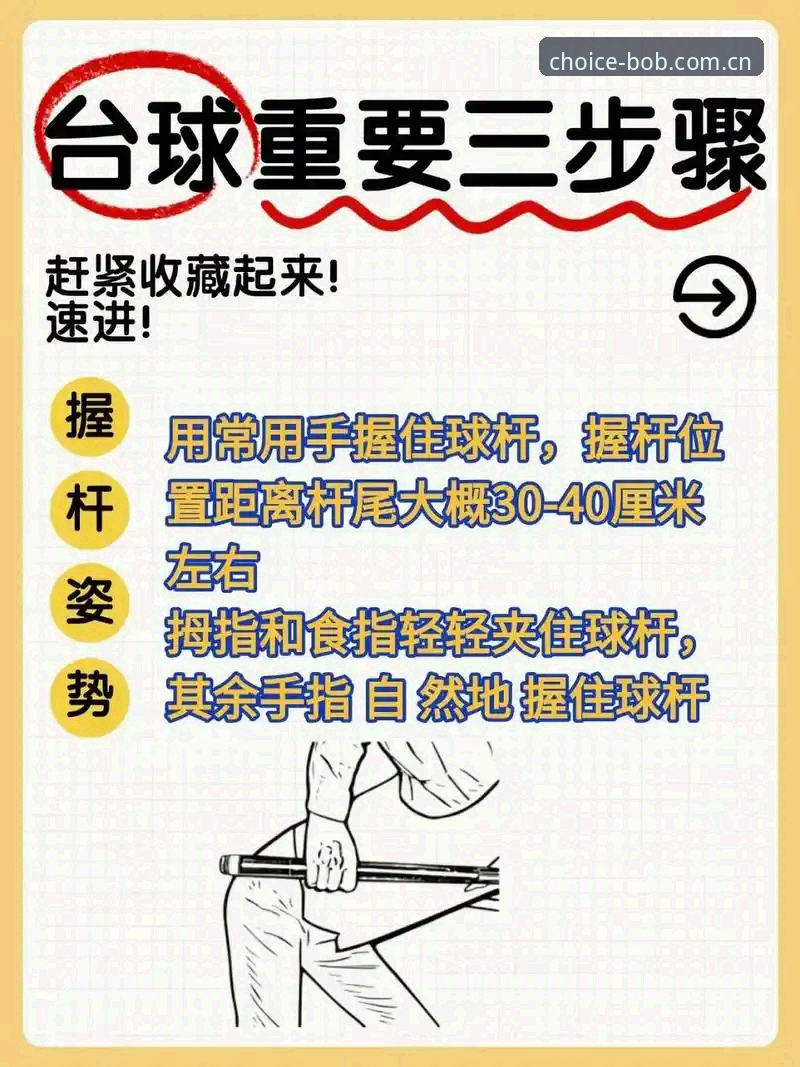 半岛体育官网使用指南：从入门到精通的完整教程